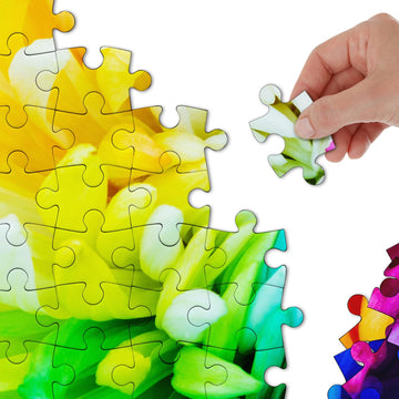 Farbblumen -Puzzle 1000 Stücke